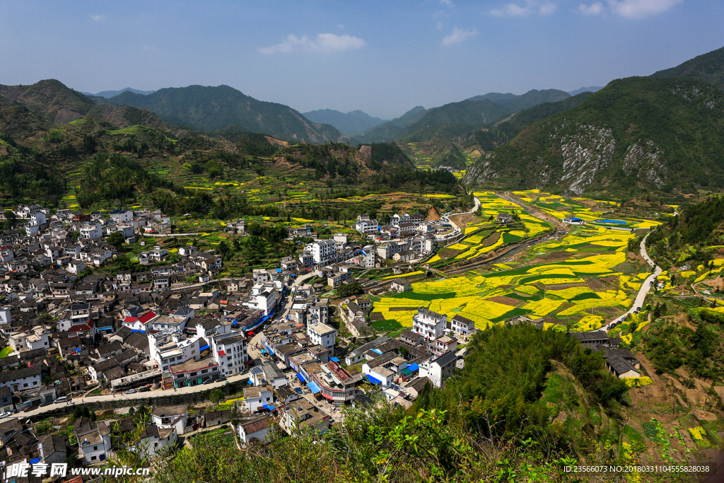 田园油菜花风景摄影