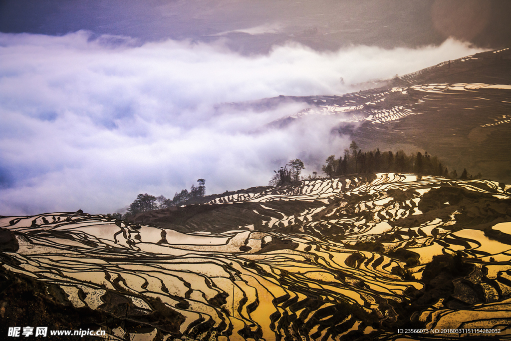 云南梯田摄影风景