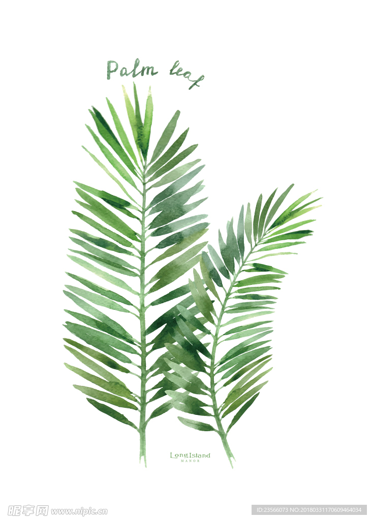 绿色水彩植物叶子