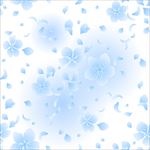 浪漫樱花