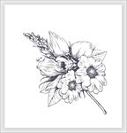 手绘插画