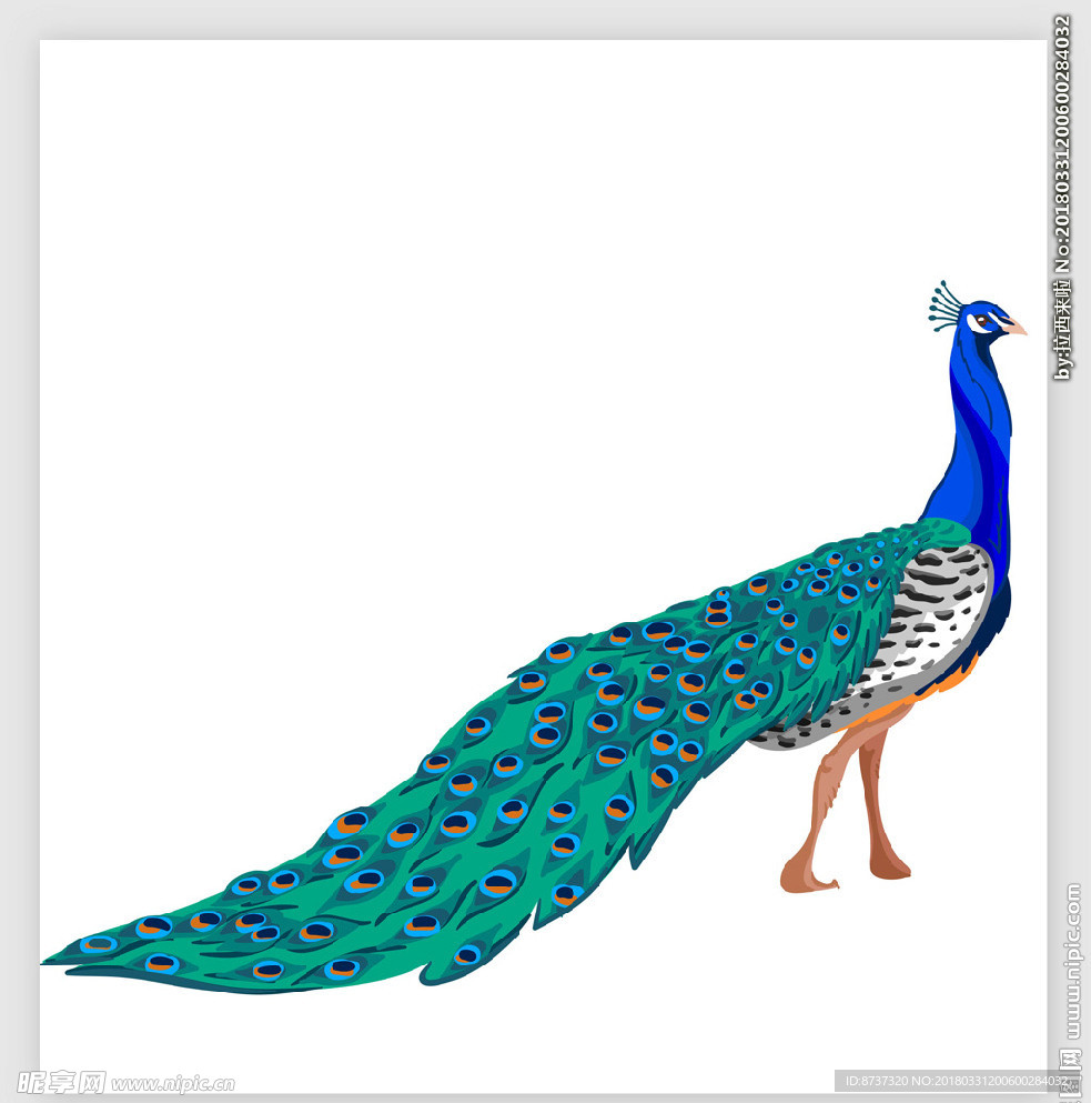 手绘插画