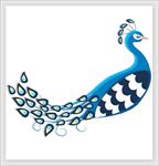 手绘插画