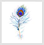 手绘插画