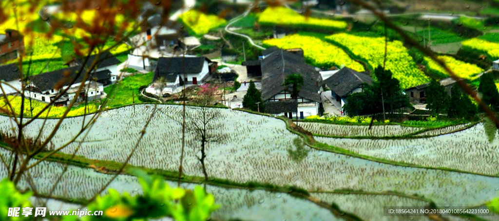 田园风光