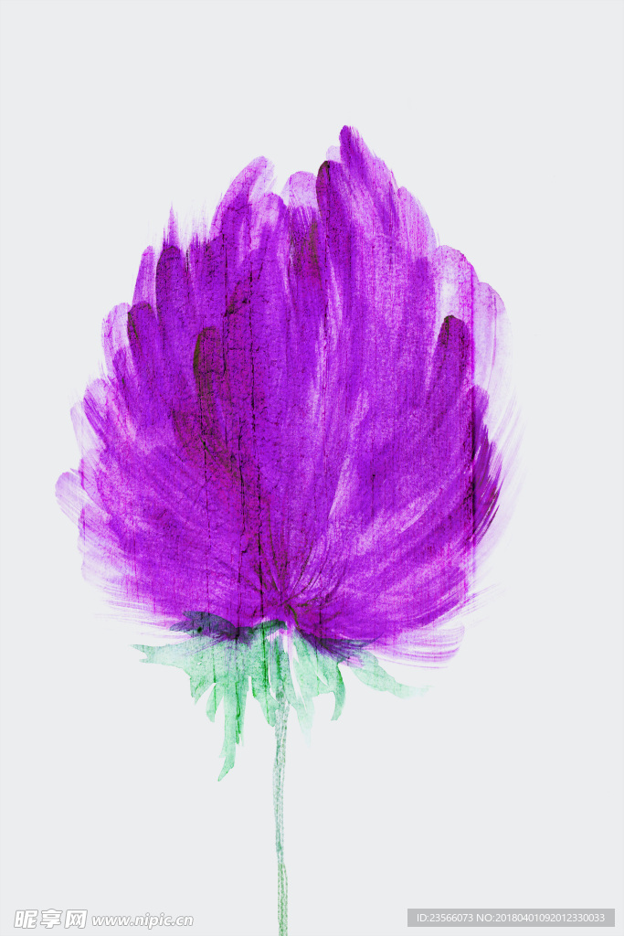 水彩植物鲜花