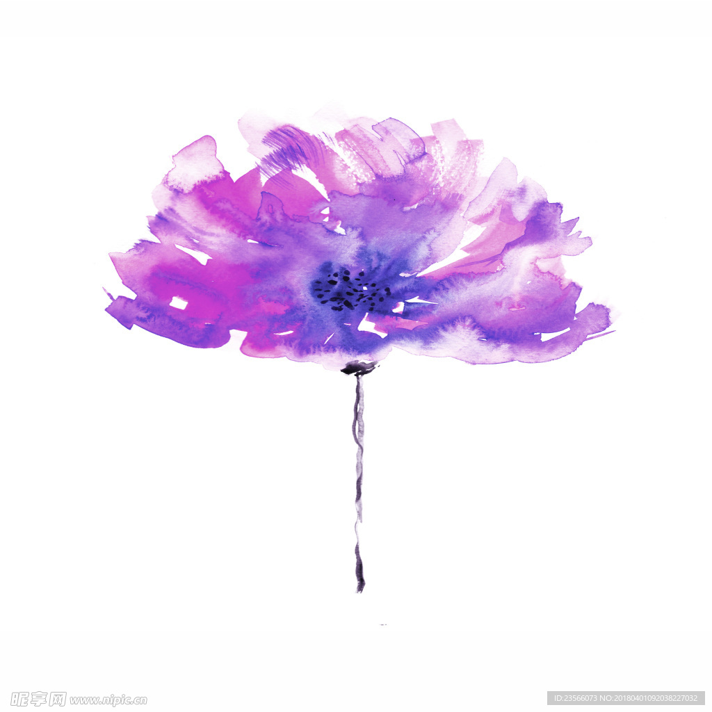 水彩植物鲜花