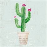 水彩盆栽植物仙人掌