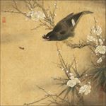 梅花八哥鸟工笔画