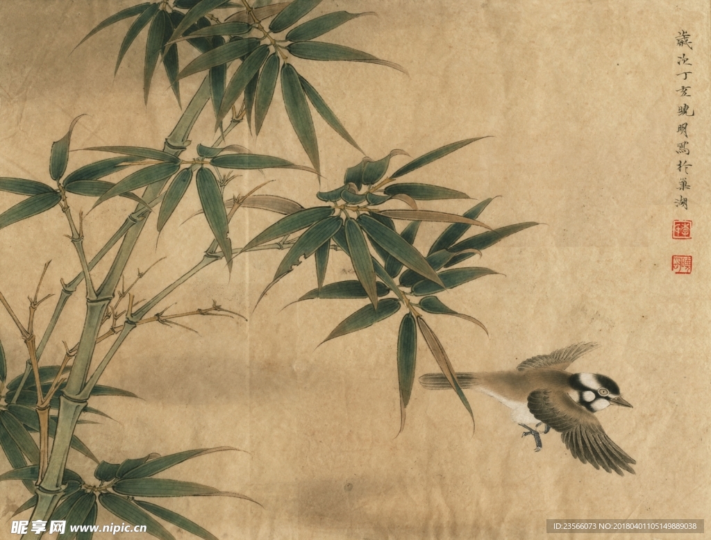 竹子鸟儿工笔画