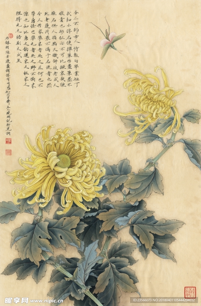 菊花工笔字画