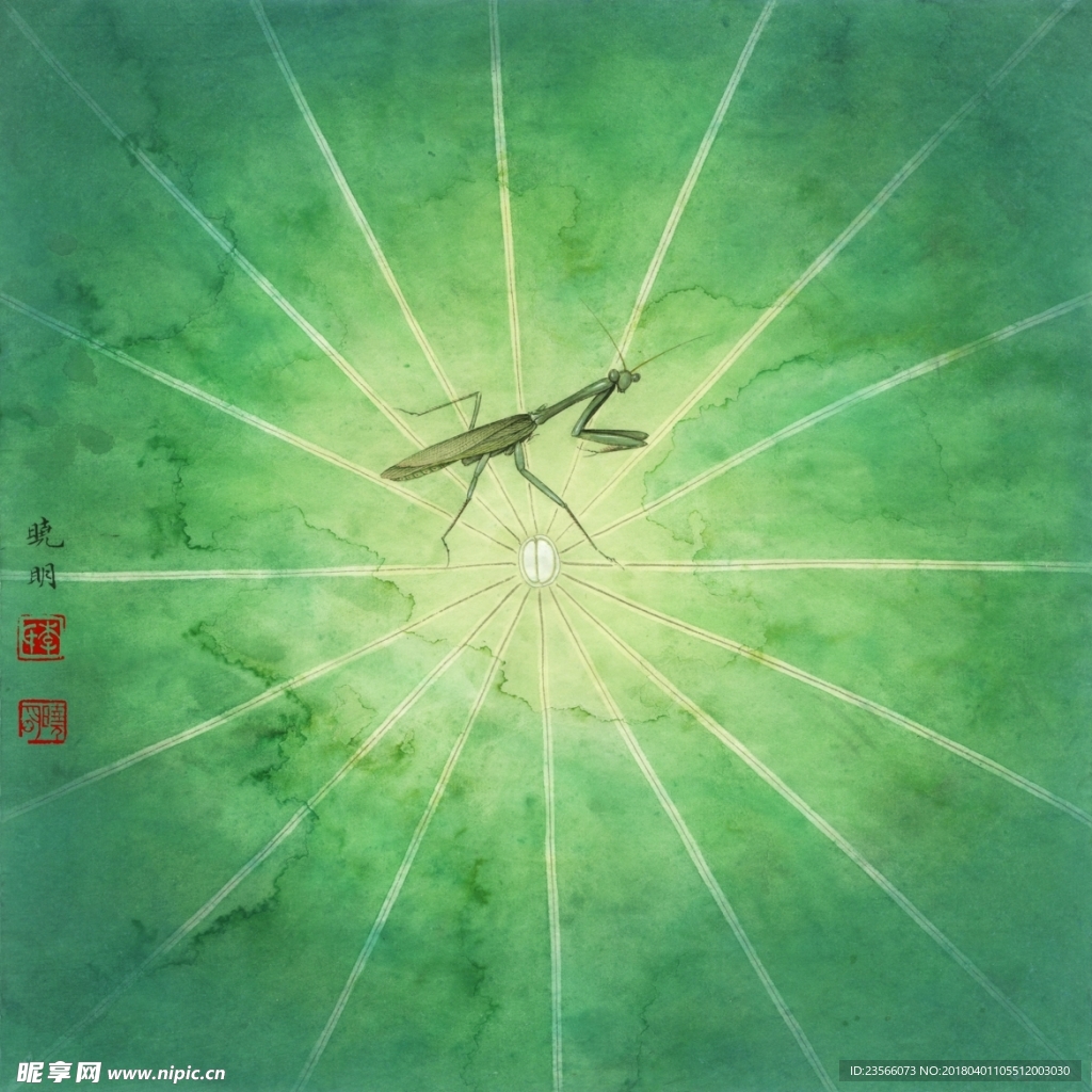 绿色睡莲工笔画