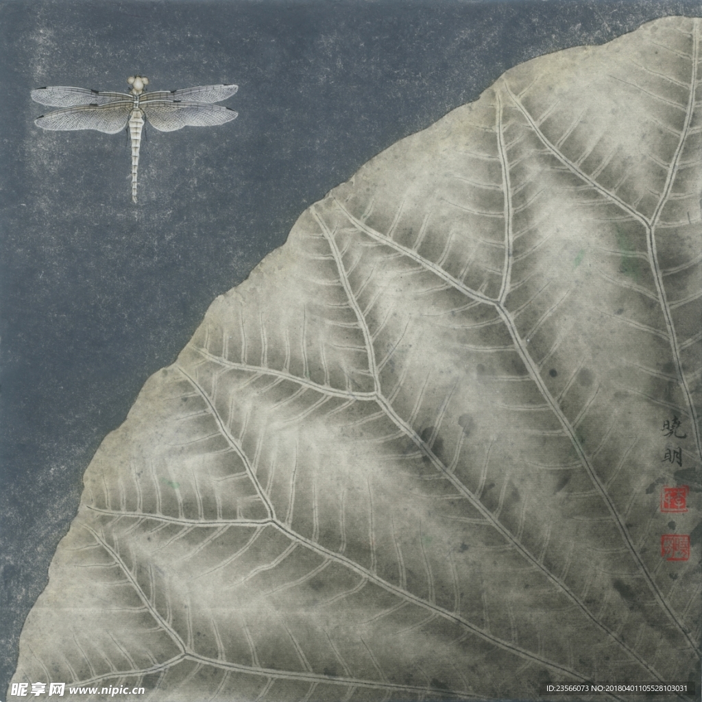 荷叶睡莲工笔画