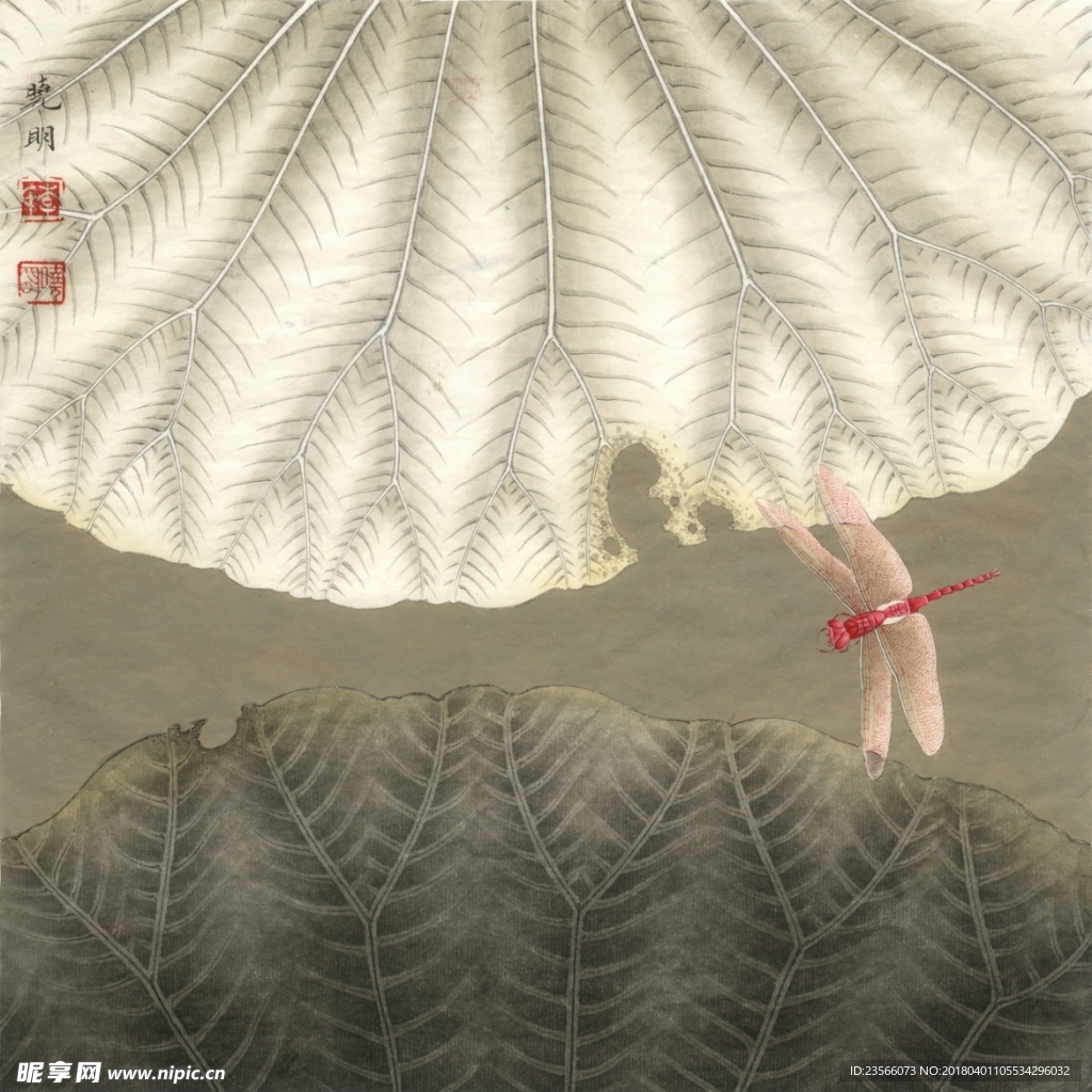 荷叶精细工笔画