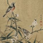 梅花植物鸟儿工笔画