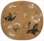 彩色蝴蝶工笔画