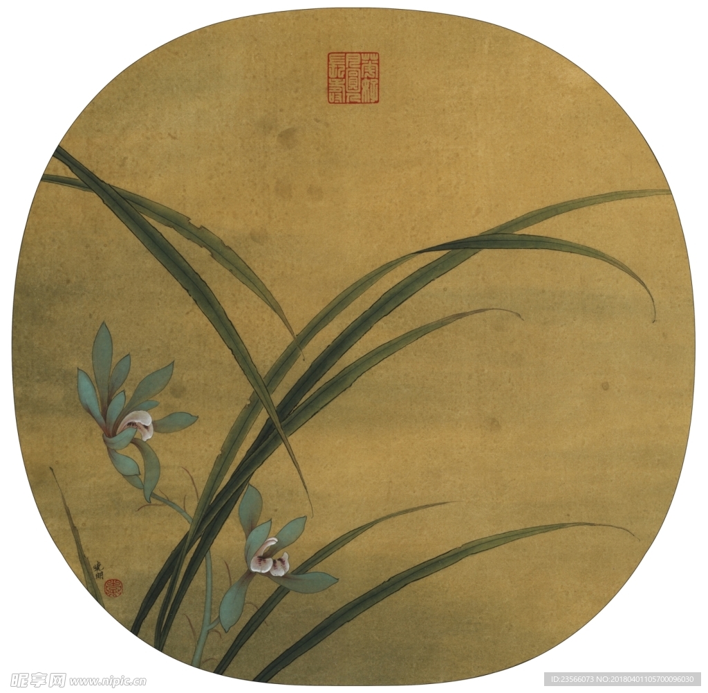 植物兰花工笔画