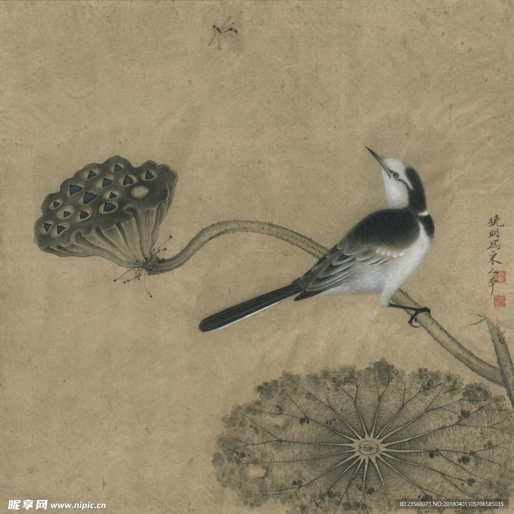 花鸟睡莲工笔画