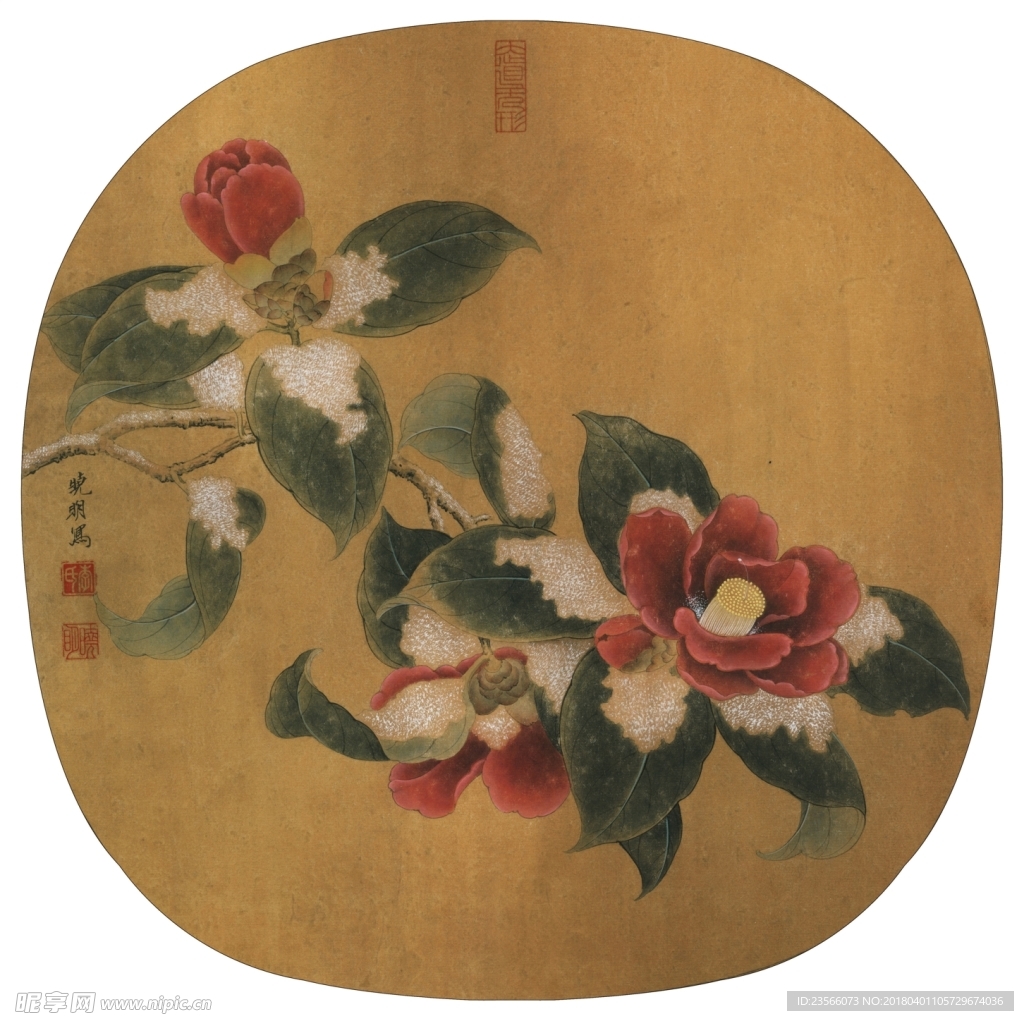 花朵植物工笔画