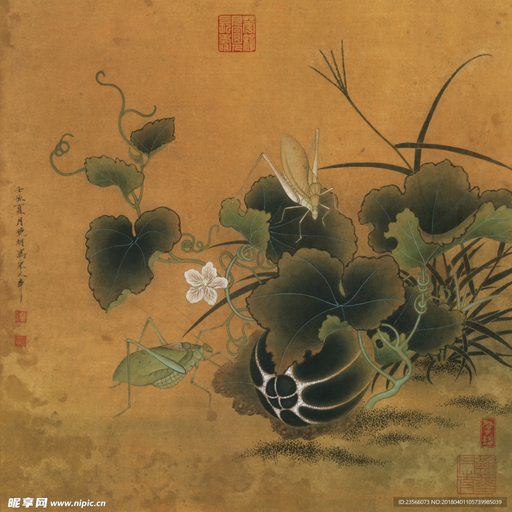 工笔画植物花朵