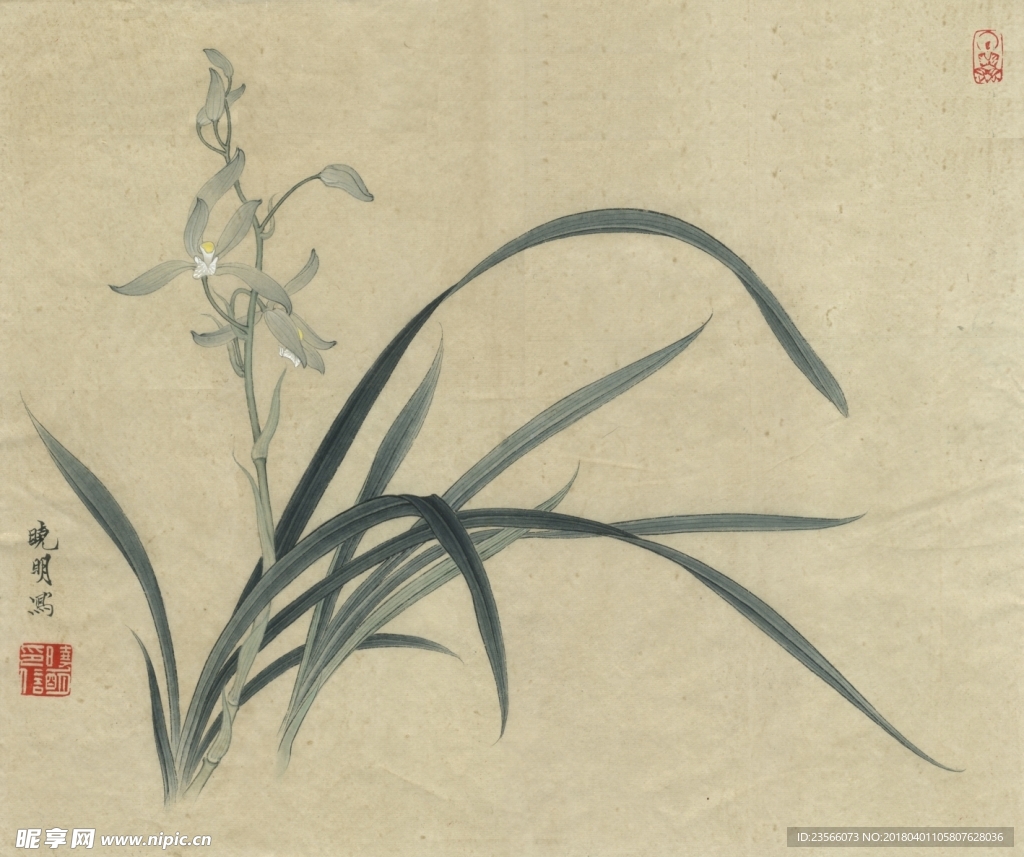 兰花中国风工笔画