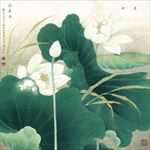 白色荷花荷叶工笔画