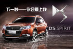 DS小车标志