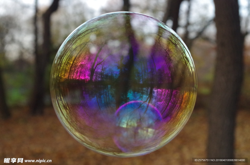 透明的泡泡