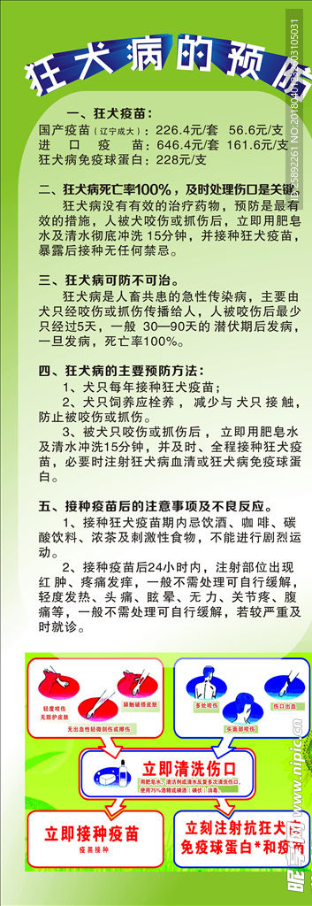 狂犬病的预防 展架