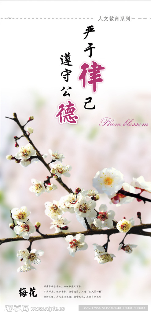 校园展板