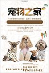 宠物之家促销海报广告图片下载