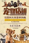 宠物狗粮促销海报广告图片下载