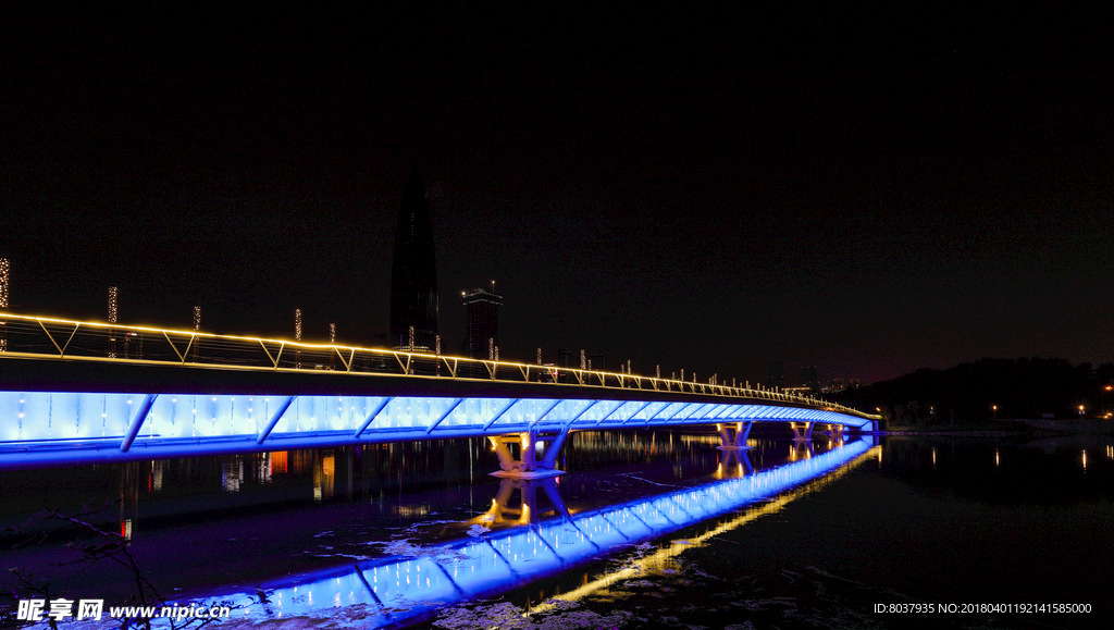 深圳人才公园夜景