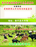 羊肉狗肉批发零售