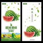 西瓜