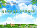 狂犬病宣传背景