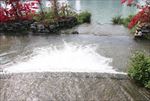水花