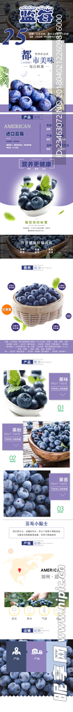 蓝莓详情