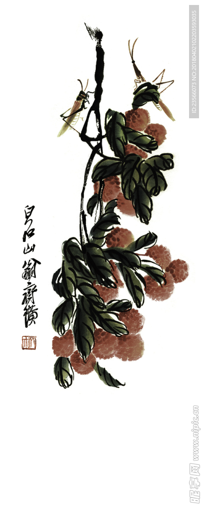 中国风水墨植物荔枝