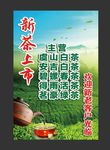 茶