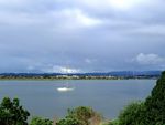 奥克兰海滨风景