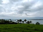 奥克兰海滨风光