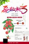 荔枝海报