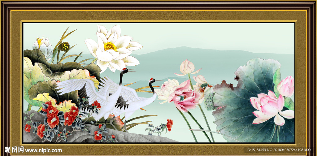 荷花国画
