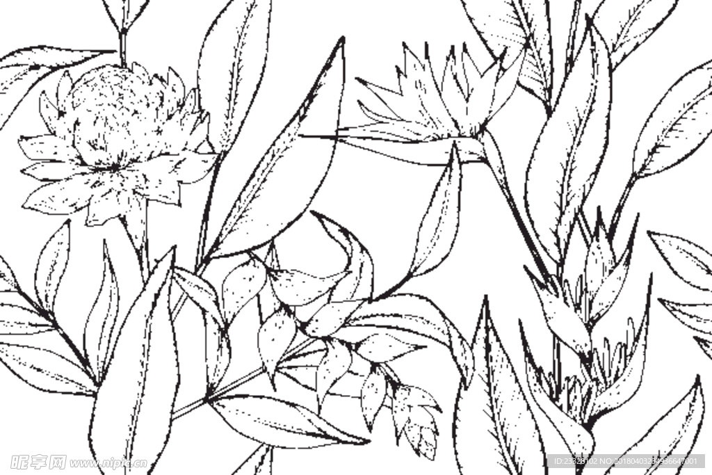 植物无缝印花图案