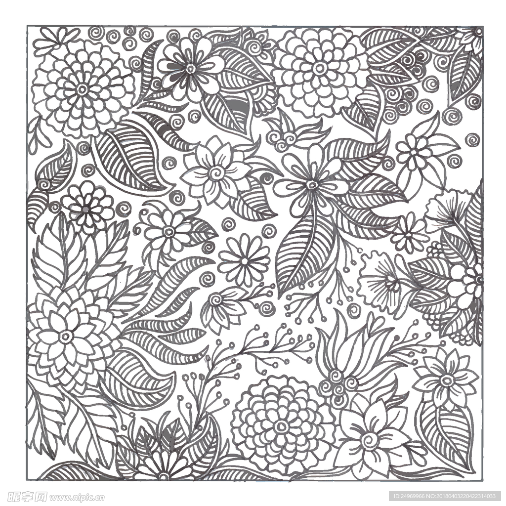 黑白花纹