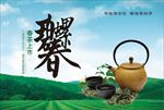 碧螺春-新茶上市