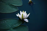 清明