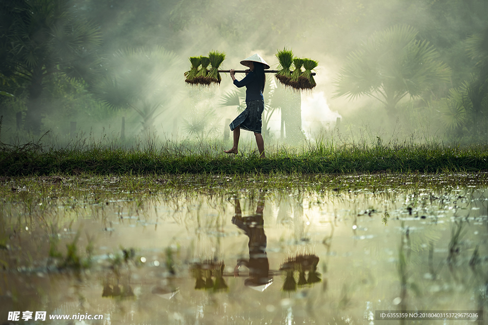 春雨