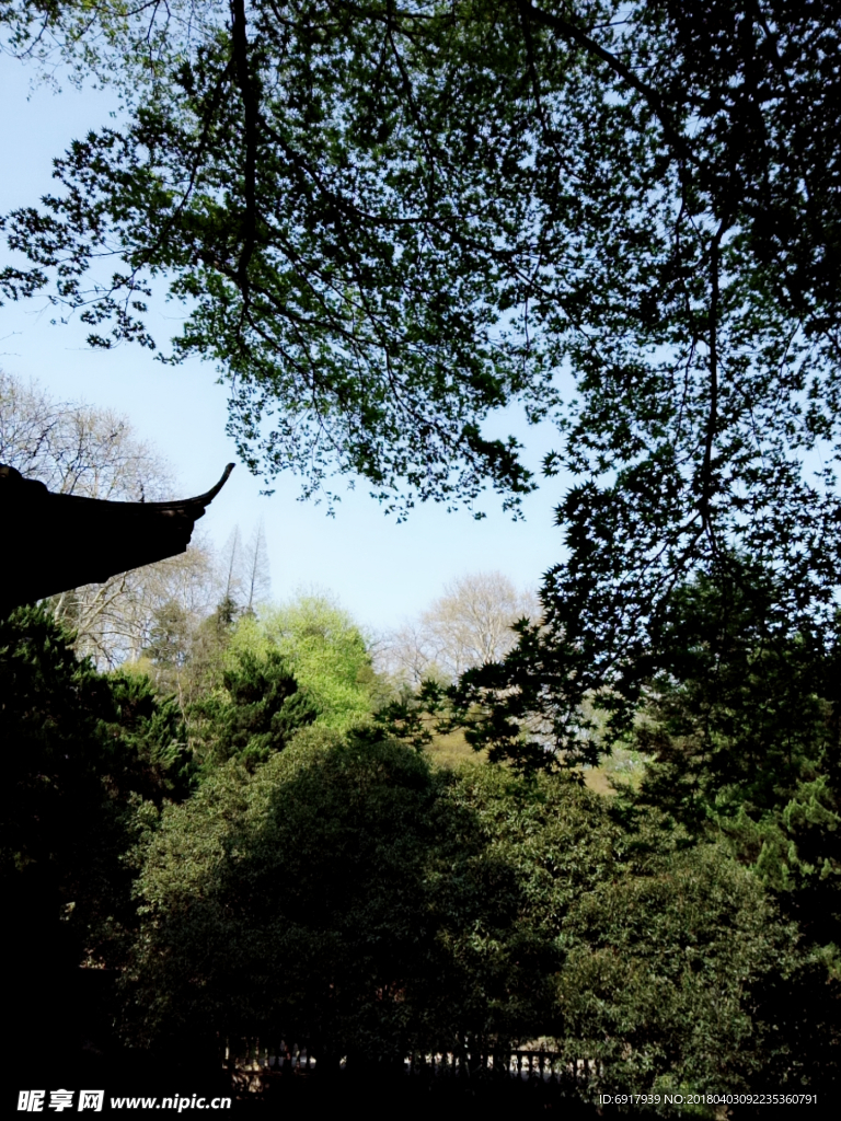 莫干山风景